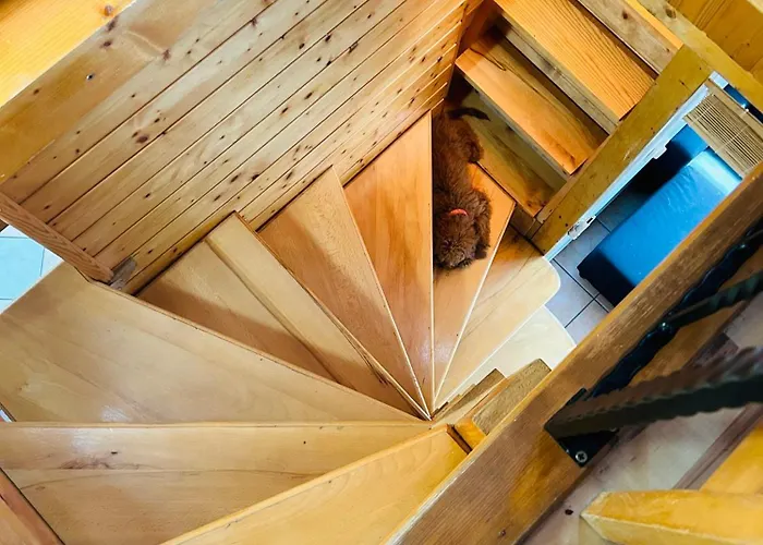 Balaton View 30 M From * Fonyód